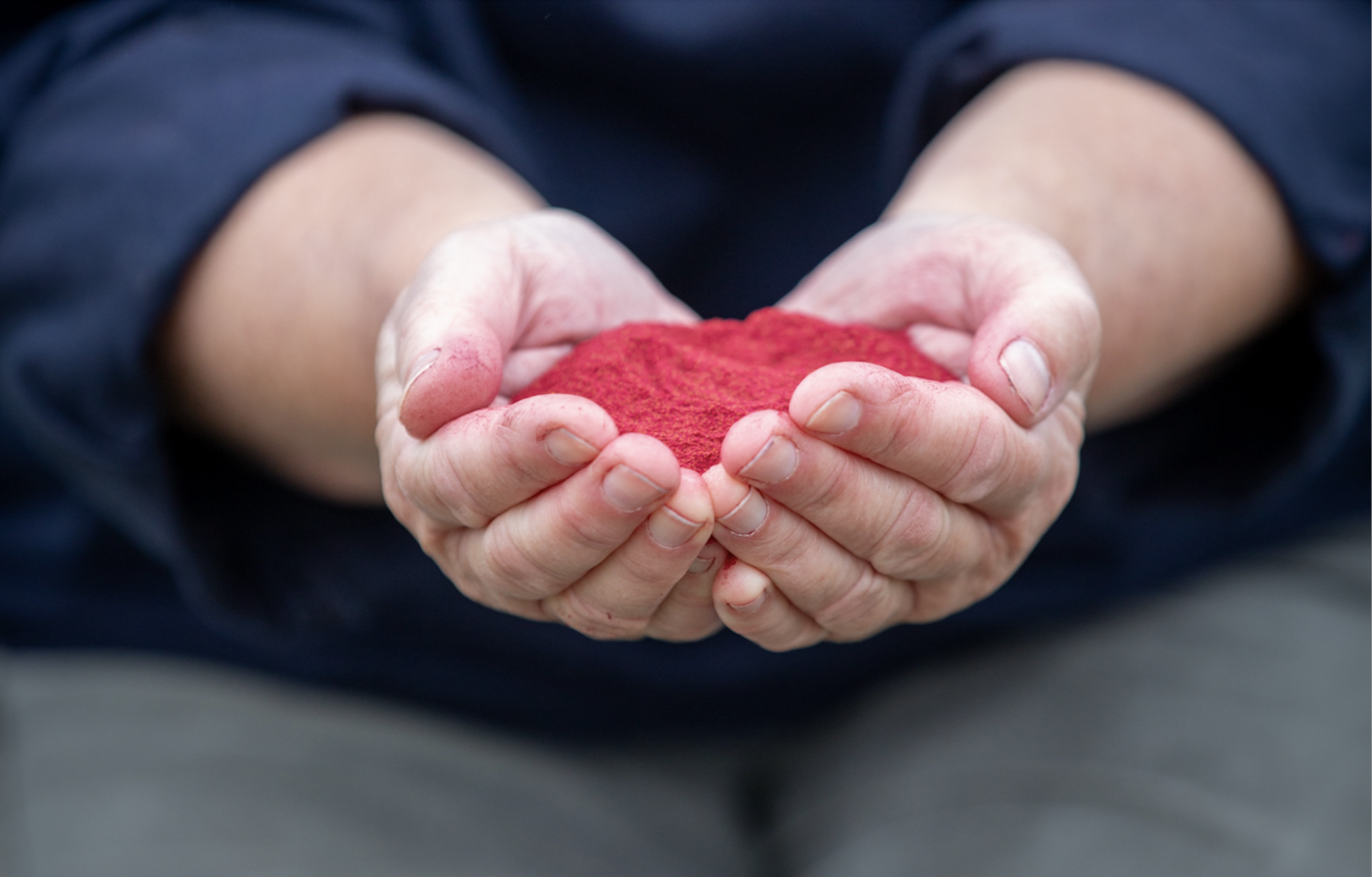 Against a backdrop of dark blue shirt and khaki trousers, a pair of cupped hands filled with red powder reach towards camera.